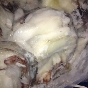 Nucas-Dosidicus-Gigas-5.jpg