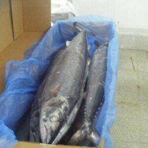 WEB-SITE-NEPTUN-sierra-PRODUCTO-11-foto-3.jpg