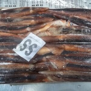 squid-100-200-gr-seafrozen-jigger-BF-10.jpg